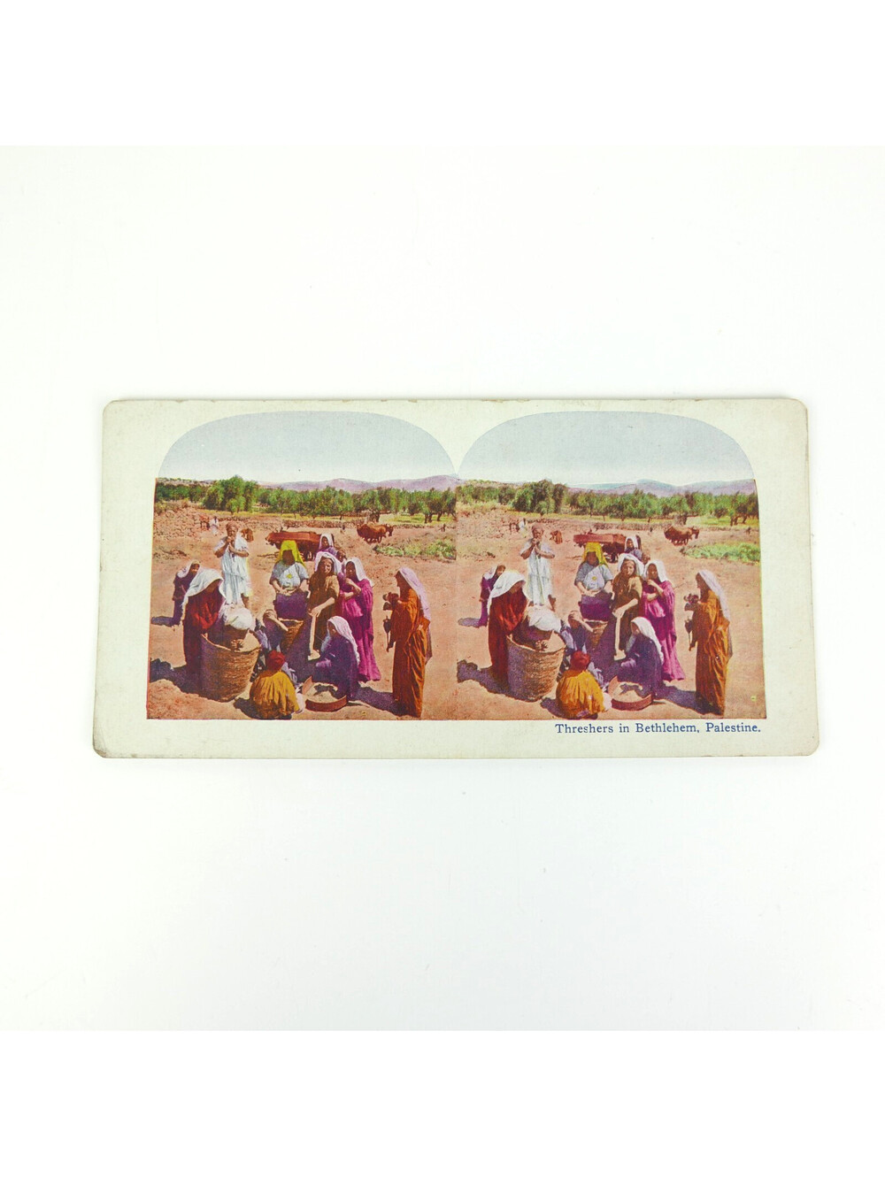 Antique Stereoview Card Bethlehem Palestine Threshers Agriculture Vintage Photo
